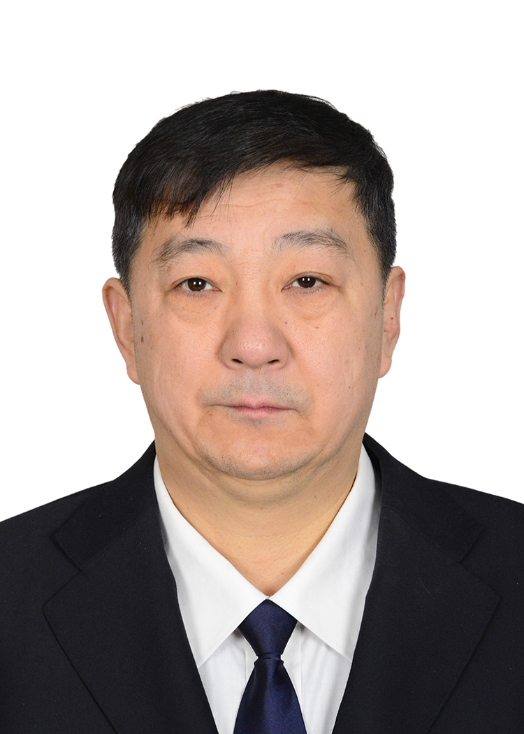 工作分工:主持丰台区人防办全面工作.