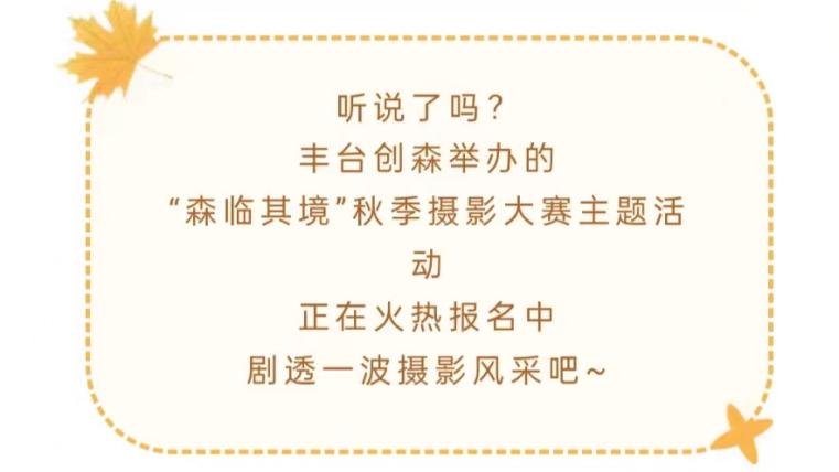 “森”临其境 摄影大赛