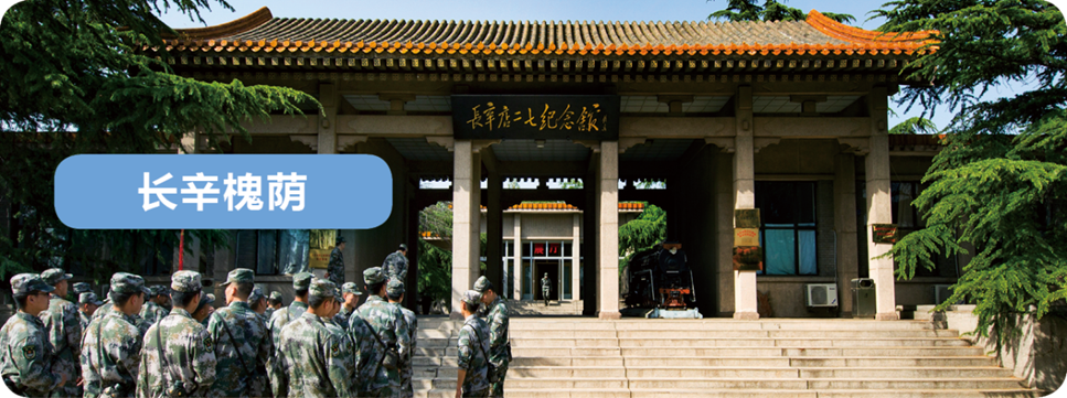 长辛槐荫