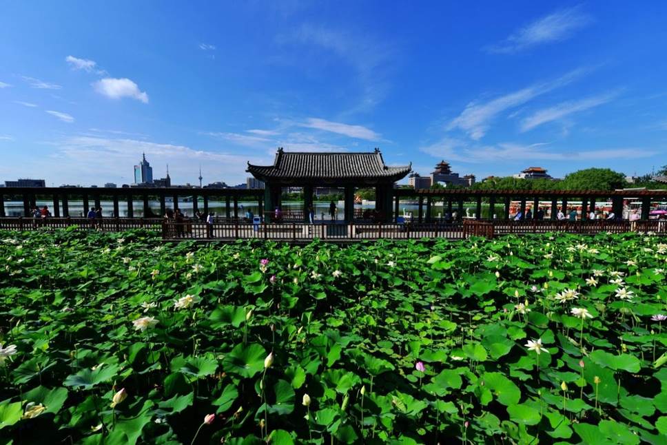 北京莲花池公园02