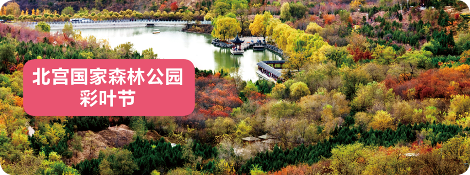 北宫国家森林公园彩叶节