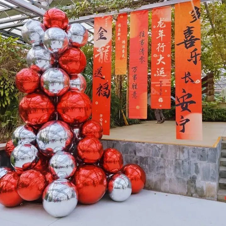 风采瞬间