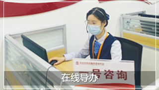 在线导办