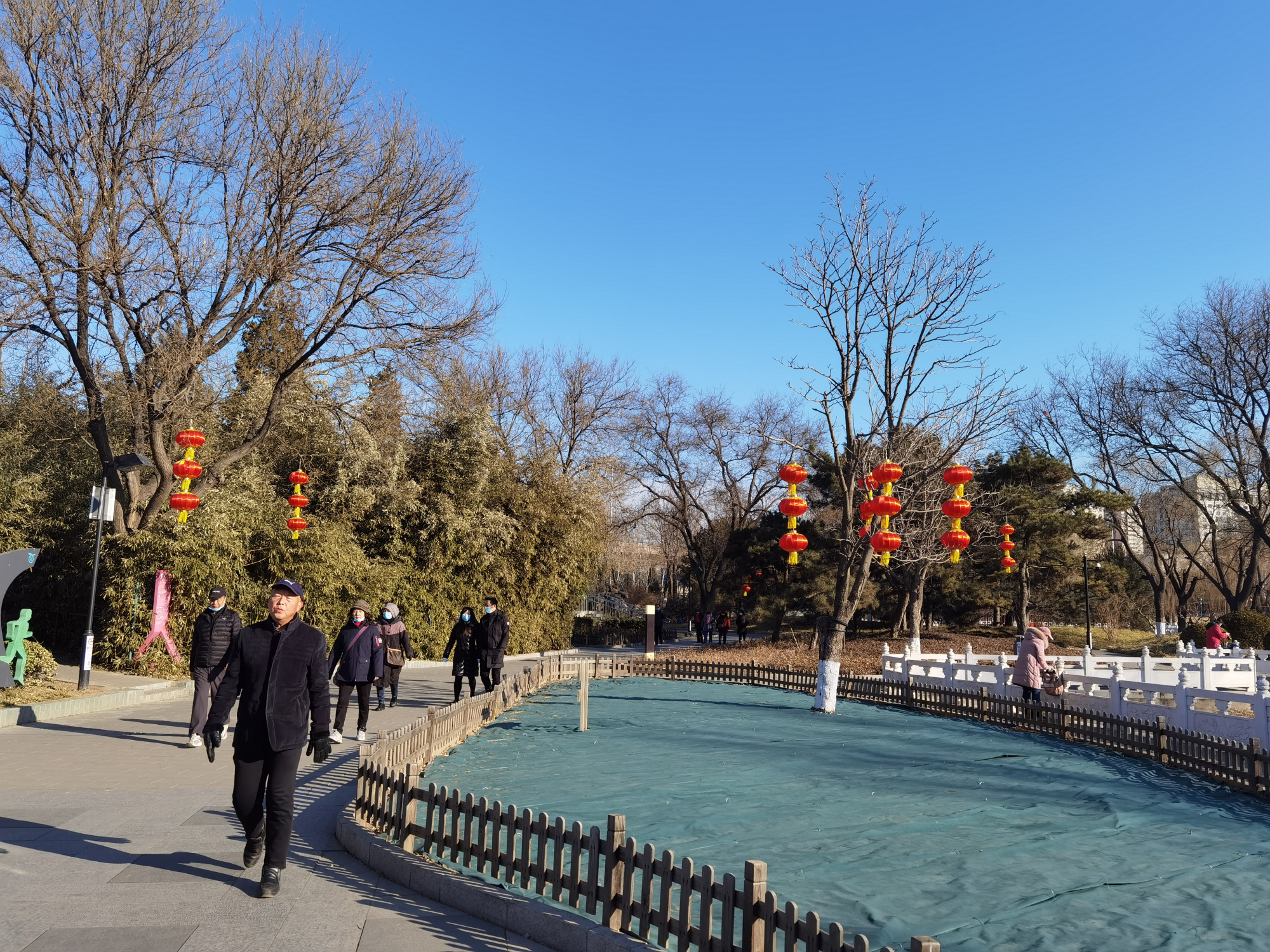 春节假期,丰台公园景区受欢迎