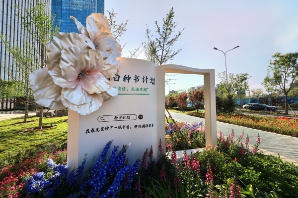 种书计划