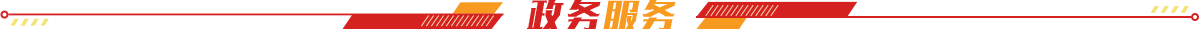 政务服务