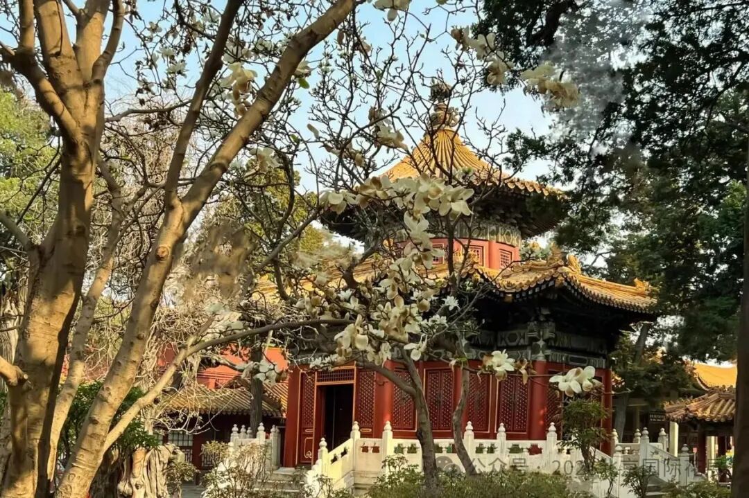 Day1 :天安门广场→故宫博物院(御花园春季花卉造景) - 四季民福(前门店) - 前门建国饭店