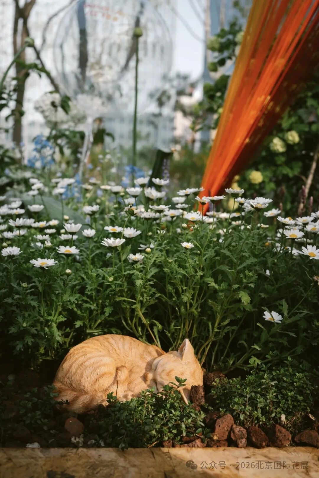 ""