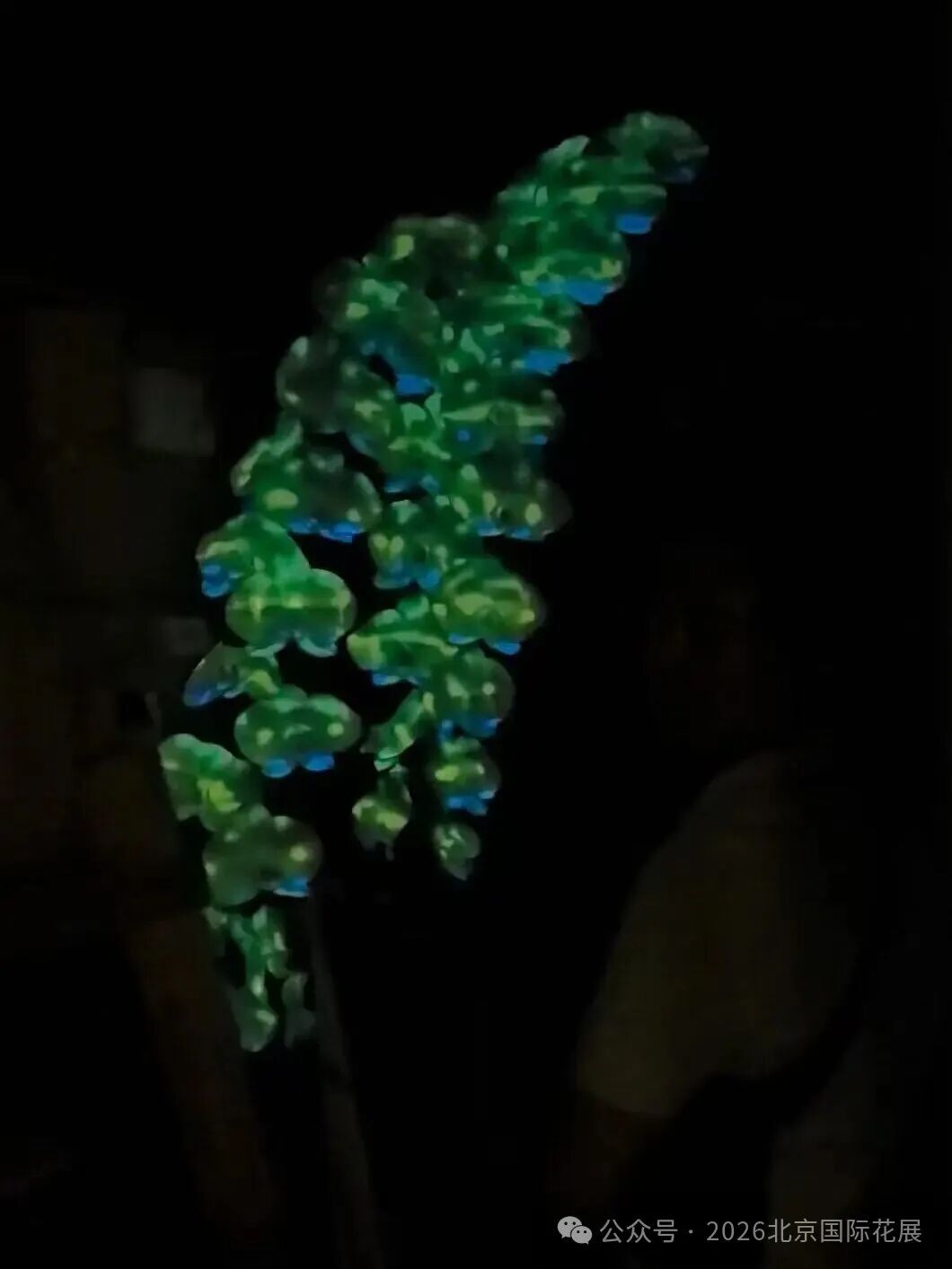 ""