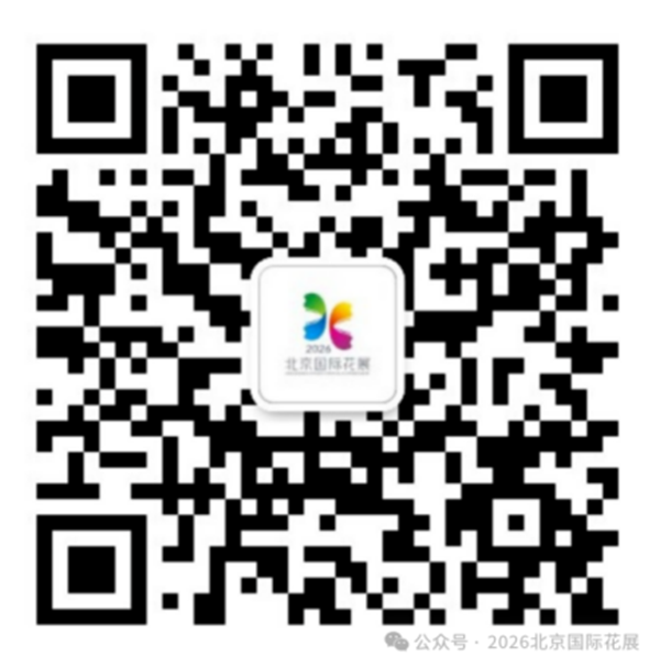 图片0.png