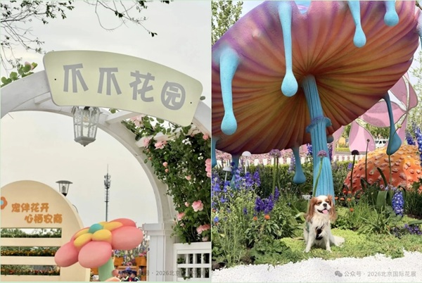 微信截图_20260521112943.png