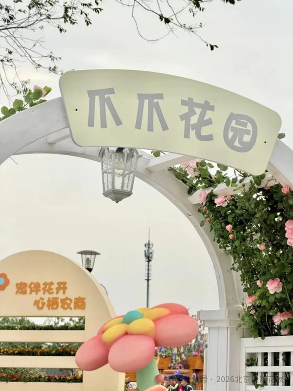 图片13.png