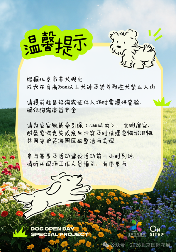 图片16.png