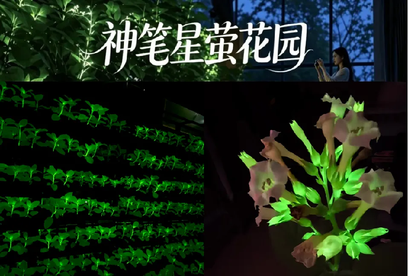 图片20.png