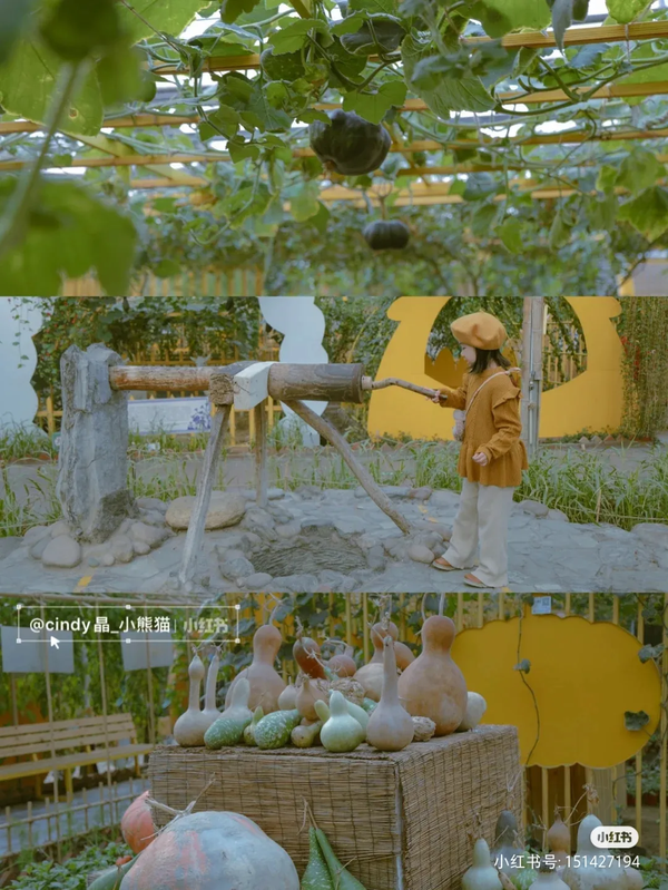 图片18.png