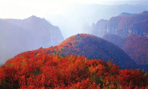 东铁匠营街道概况