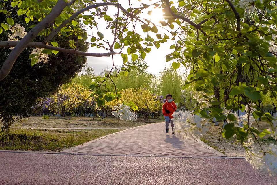 和义东里健身园