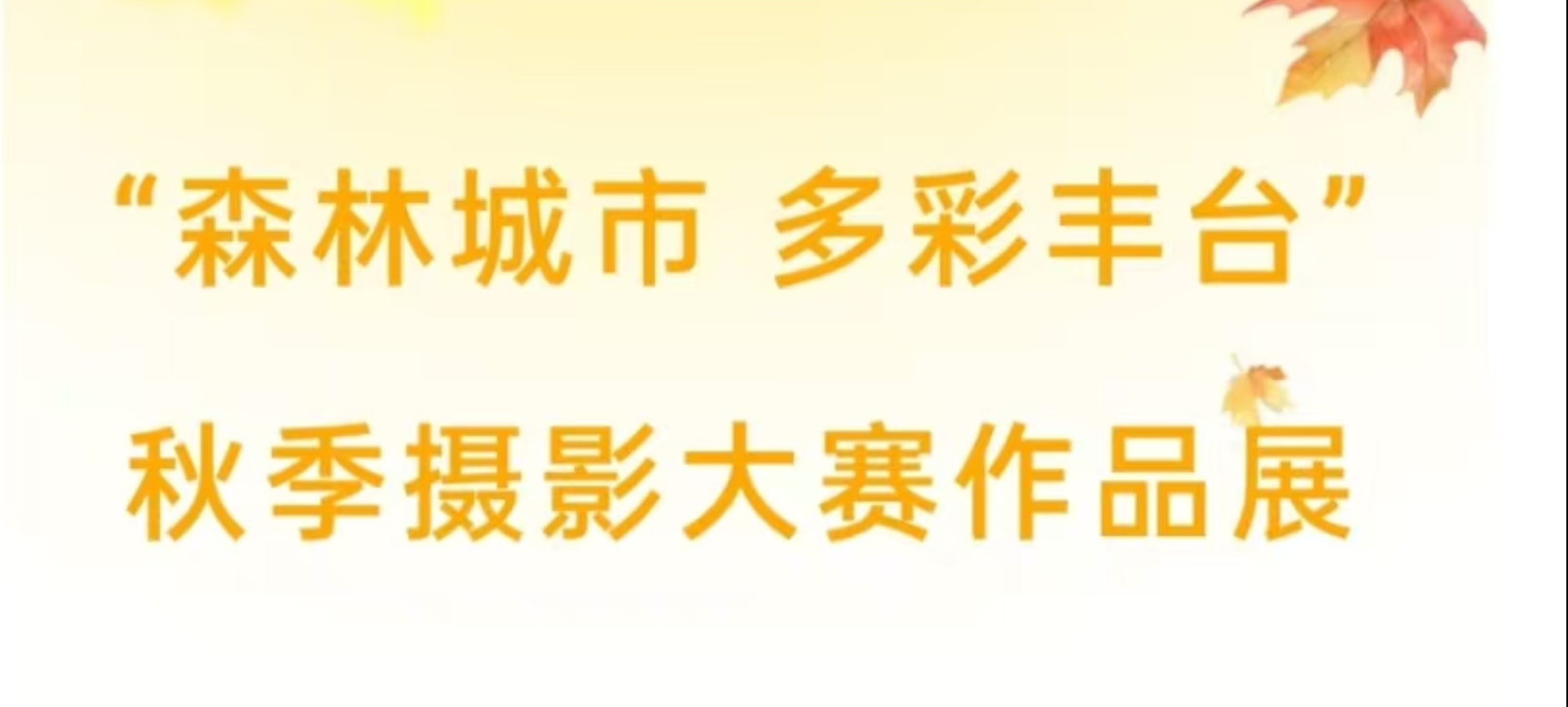 “森林城市 多彩丰台”秋季摄影大赛作品展