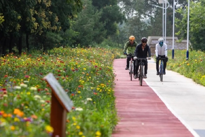 总长13.08公里 永定河亲水绿道建成开放