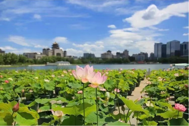 跟着浪浪山小妖怪游丰台——