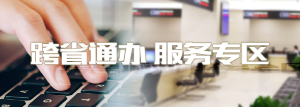 跨省通办 服务专区